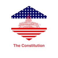 The USA Constitution